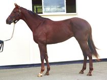 ����å��ǳ��������ɽ�����ޤ�