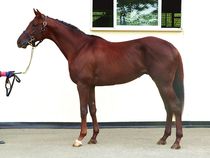 ����å��ǳ��������ɽ�����ޤ�