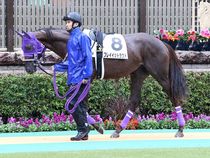 ����å��ǳ��������ɽ�����ޤ�