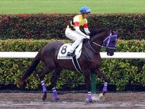 ����å��ǳ��������ɽ�����ޤ�