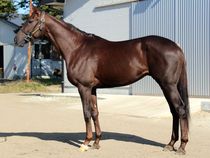 ����å��ǳ��������ɽ�����ޤ�