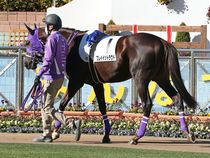 ����å��ǳ��������ɽ�����ޤ�