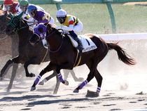 ����å��ǳ��������ɽ�����ޤ�