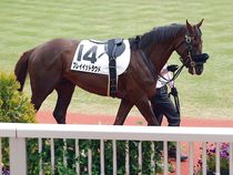 ����å��ǳ��������ɽ�����ޤ�