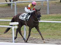 ����å��ǳ��������ɽ�����ޤ�