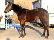 ����å��ǳ��������ɽ�����ޤ�