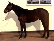 ����å��ǳ��������ɽ�����ޤ�