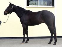 ����å��ǳ��������ɽ�����ޤ�