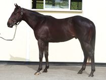 ����å��ǳ��������ɽ�����ޤ�