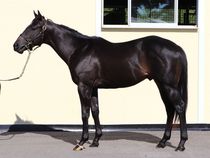 ����å��ǳ��������ɽ�����ޤ�