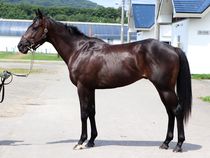 ����å��ǳ��������ɽ�����ޤ�