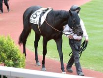 ����å��ǳ��������ɽ�����ޤ�