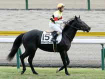 ����å��ǳ��������ɽ�����ޤ�