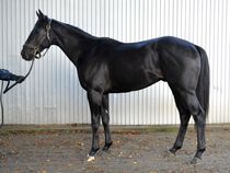 ����å��ǳ��������ɽ�����ޤ�