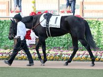 ����å��ǳ��������ɽ�����ޤ�