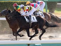 ����å��ǳ��������ɽ�����ޤ�