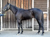 ����å��ǳ��������ɽ�����ޤ�