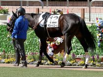 ����å��ǳ��������ɽ�����ޤ�