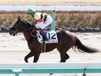 ����å��ǳ��������ɽ�����ޤ�