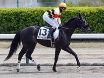 ����å��ǳ��������ɽ�����ޤ�