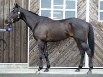 ����å��ǳ��������ɽ�����ޤ�