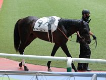 ����å��ǳ��������ɽ�����ޤ�