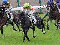 ����å��ǳ��������ɽ�����ޤ�