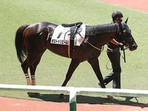 ����å��ǳ��������ɽ�����ޤ�