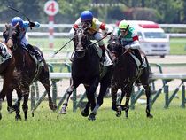 ����å��ǳ��������ɽ�����ޤ�