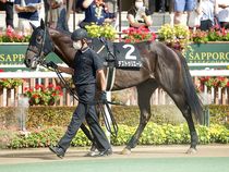 ����å��ǳ��������ɽ�����ޤ�