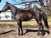 ����å��ǳ��������ɽ�����ޤ�