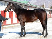 ����å��ǳ��������ɽ�����ޤ�