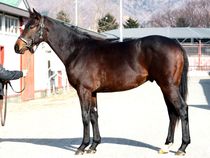 ����å��ǳ��������ɽ�����ޤ�