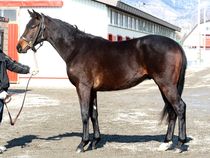 ����å��ǳ��������ɽ�����ޤ�