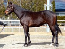 ����å��ǳ��������ɽ�����ޤ�