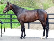 ����å��ǳ��������ɽ�����ޤ�