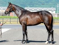 ����å��ǳ��������ɽ�����ޤ�