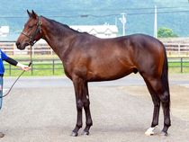 ����å��ǳ��������ɽ�����ޤ�