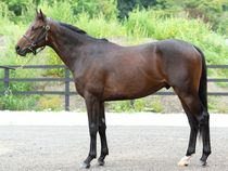 ����å��ǳ��������ɽ�����ޤ�