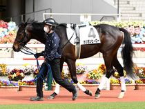 ����å��ǳ��������ɽ�����ޤ�