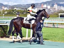 ����å��ǳ��������ɽ�����ޤ�