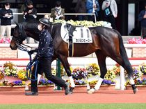 ����å��ǳ��������ɽ�����ޤ�