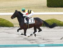 ����å��ǳ��������ɽ�����ޤ�