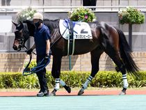 ����å��ǳ��������ɽ�����ޤ�