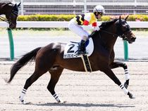 ����å��ǳ��������ɽ�����ޤ�