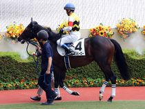 ����å��ǳ��������ɽ�����ޤ�