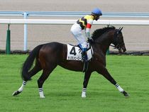 ����å��ǳ��������ɽ�����ޤ�