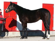 ����å��ǳ��������ɽ�����ޤ�