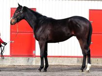 ����å��ǳ��������ɽ�����ޤ�