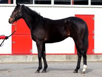 ����å��ǳ��������ɽ�����ޤ�